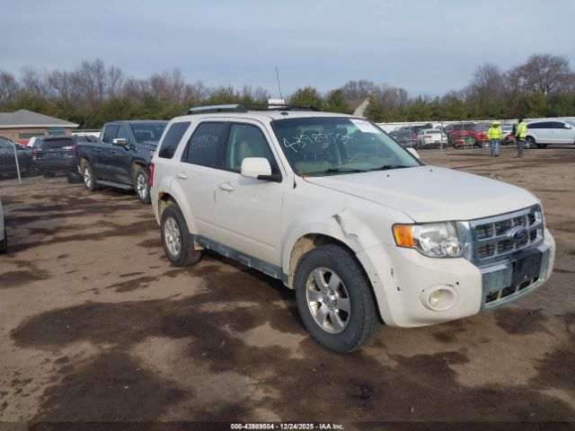 Ford Escape Limited Image 1