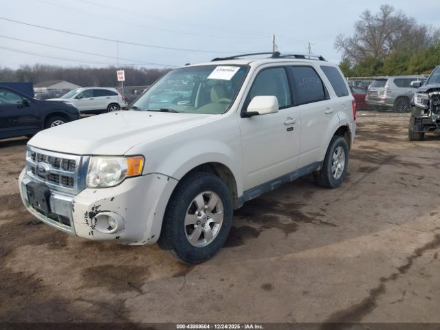 Ford Escape Limited Image 4