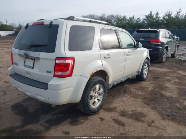 Ford Escape Limited Image 3