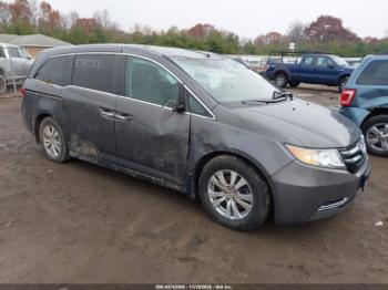  Salvage Honda Odyssey