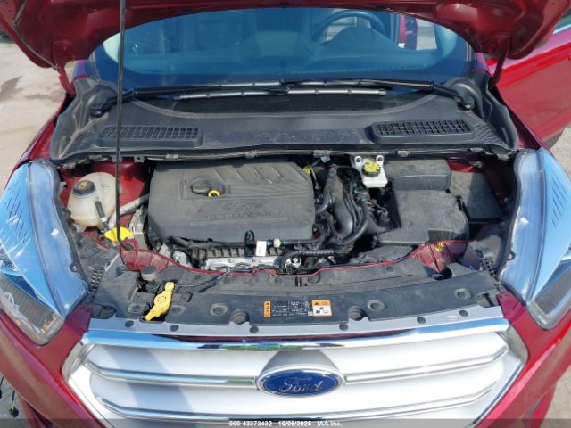 Ford Escape Sel Image 12