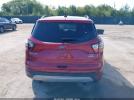 Ford Escape Sel Image 8