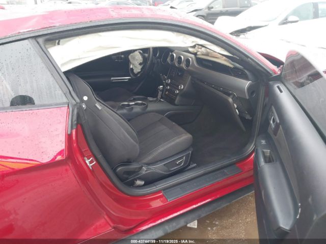 Ford Mustang Gt Image 2