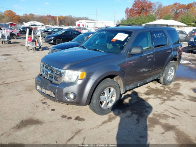 Ford Escape Xlt Image 3