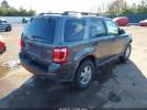 Ford Escape Xlt Image 4