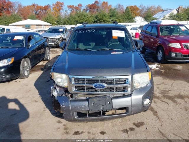 Ford Escape Xlt Image 14