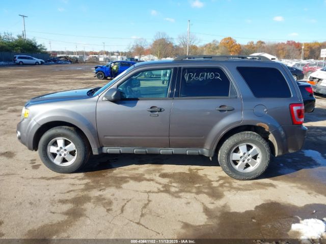 Ford Escape Xlt Image 10