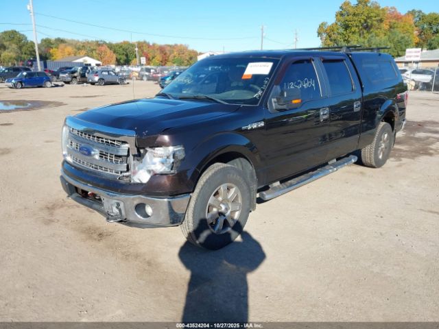 Ford F-150 Xlt Image 8