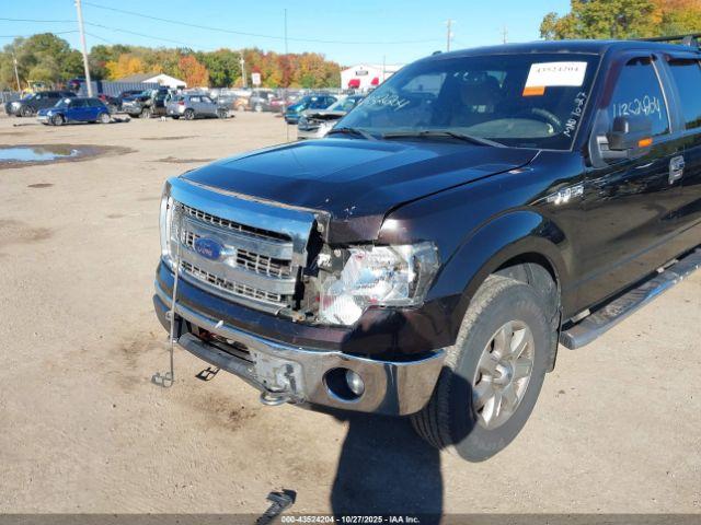 Ford F-150 Xlt Image 3