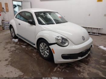  Salvage Volkswagen Beetle