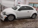 Volkswagen Beetle 2.5l Entry Image 14