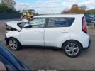 Kia Soul + Image 13