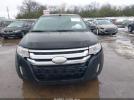 Ford Edge Limited Image 9